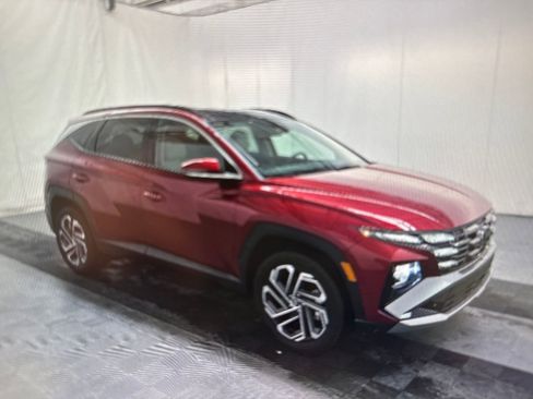 Used 2025 Hyundai Tucson Limited image 4