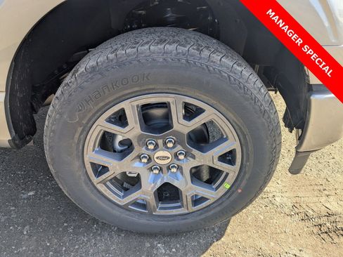 New 2026 Ford F150 STX w/ Equipment Group 200A image 11