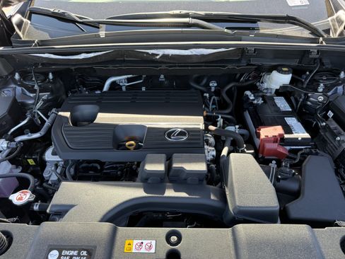 Certified 2025 Lexus NX 250 FWD w/ Cold Area Package image 32
