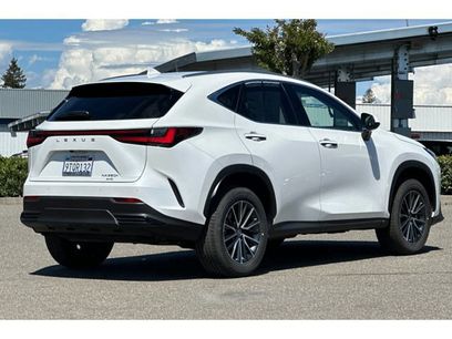 Certified 2025 Lexus NX 350h AWD w/ Cold Area Package