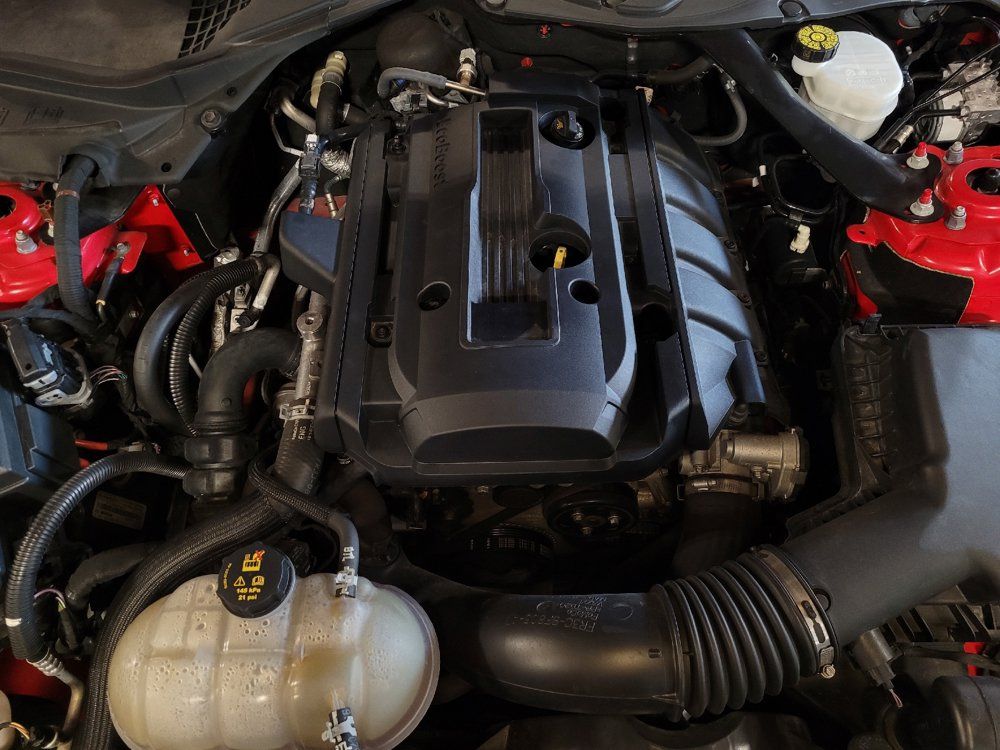 Used 2019 Ford Mustang Convertible w/ Ford Safe & Smart Package RWD image 30
