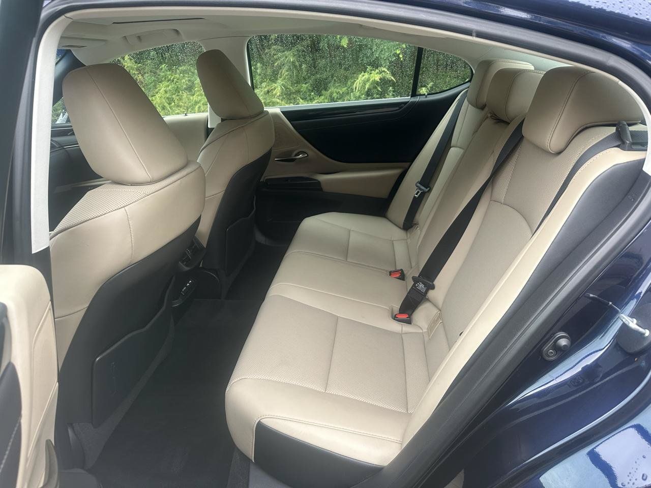Used 2021 Lexus ES 250 w/ Premium Package AWD/4WD image 12