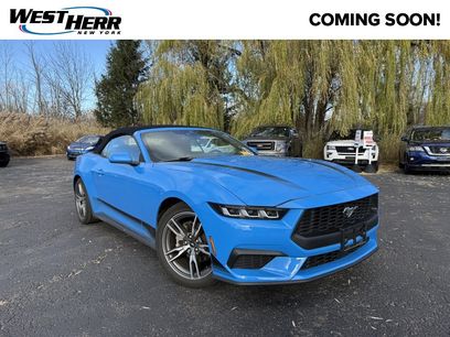 Used 2024 Ford Mustang Premium w/ Wheel & Stripe Package