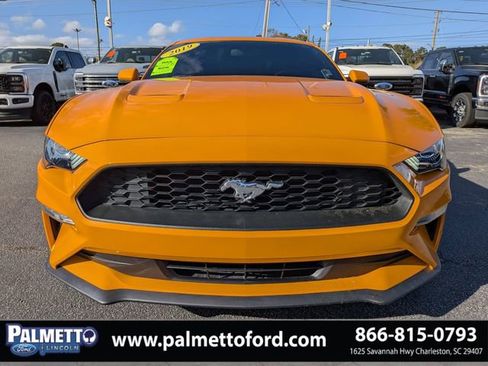 Used 2019 Ford Mustang Coupe w/ Equipment Group 101A image 9