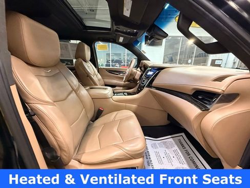 Used 2019 Cadillac Escalade Platinum image 13