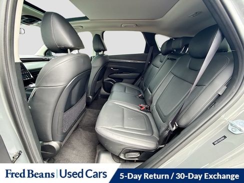 Used 2024 Hyundai Tucson Limited AWD/4WD image 33
