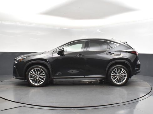 Used 2025 Lexus NX 350 AWD w/ Premium Package image 4