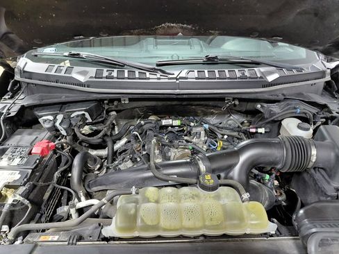 Used 2020 Ford F150 XLT w/ Equipment Group 302A Luxury AWD/4WD image 11