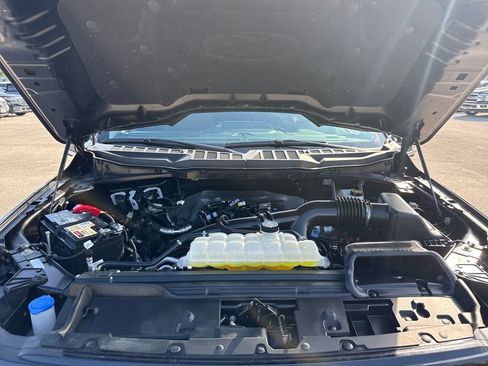 Used 2025 Ford F150 XLT w/ Equipment Group 303A High image 32