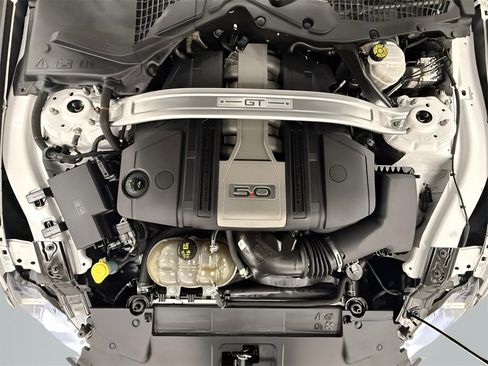 Used 2019 Ford Mustang GT Premium w/ Equipment Group 401A image 17