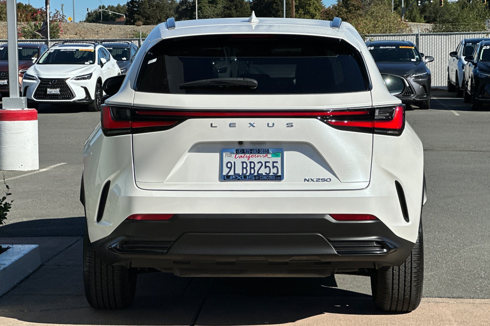 Certified 2024 Lexus NX 250 FWD image 5