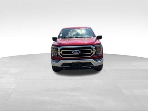 Used 2021 Ford F150 XLT w/ Equipment Group 302A High AWD/4WD image 2