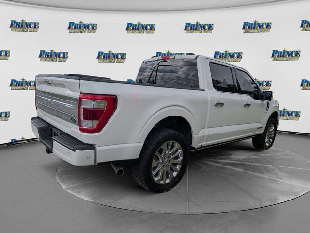 Used 2023 Ford F150 Limited AWD/4WD image 3