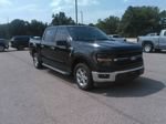 Used 2025 Ford F150 XLT w/ Equipment Group 301A Standard RWD image 3