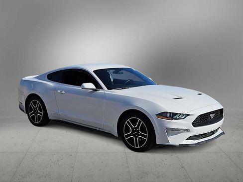 Used 2020 Ford Mustang Coupe w/ Equipment Group 101A image 2