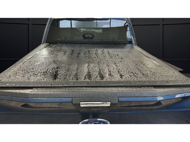 Used 2019 Ford F150 XLT w/ Equipment Group 302A Luxury AWD/4WD image 9