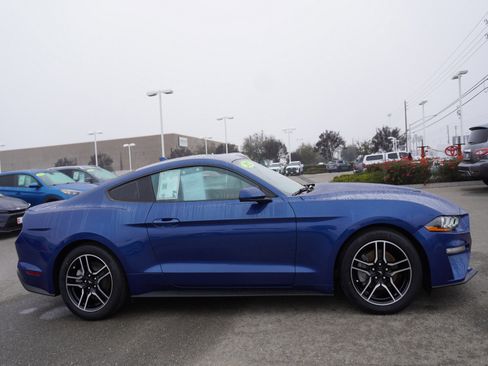 Used 2022 Ford Mustang Premium image 4