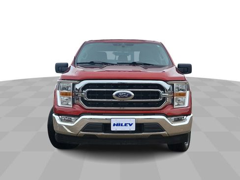 Used 2023 Ford F150 XLT w/ Equipment Group 301A Mid image 3