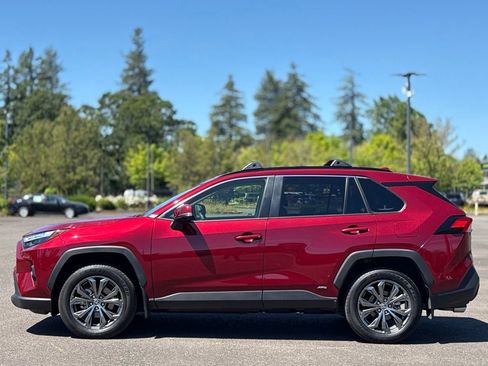 Used 2025 Toyota RAV4 XLE Premium w/ Weather Package AWD/4WD image 2