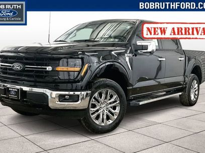 New 2025 Ford F150 XLT w/ Equipment Group 303A High