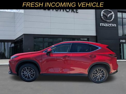 Used 2025 Lexus NX 250 250 Base w/ Cold Area Package image 5