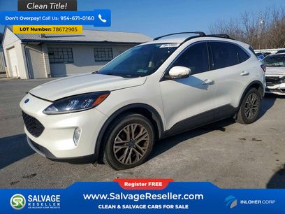 Used 2020 Ford Escape SEL