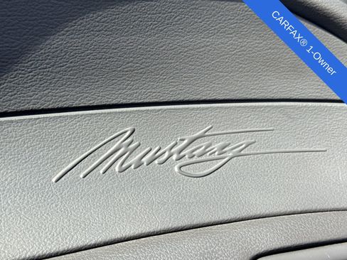 Used 2001 Ford Mustang Cobra RWD image 14