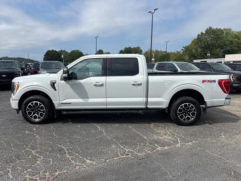 Used 2023 Ford F150 XLT w/ Equipment Group 302A High AWD/4WD image 4