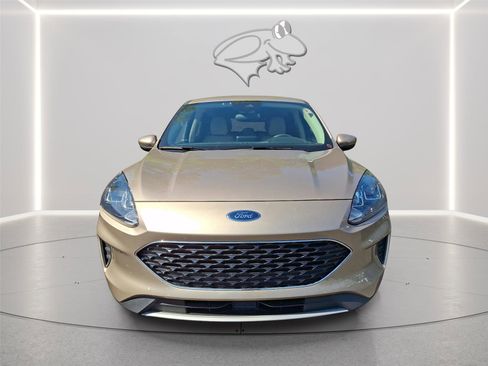 Used 2020 Ford Escape SE AWD/4WD image 6