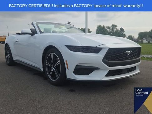Used 2025 Ford Mustang Premium RWD image 2