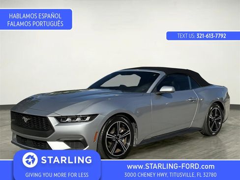 Certified 2024 Ford Mustang Premium image 1