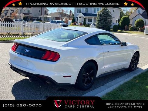 Used 2019 Ford Mustang Coupe image 4