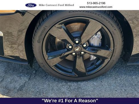 Certified 2021 Ford Mustang GT Premium w/ Equipment Group 401A RWD image 9