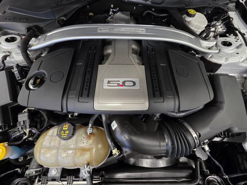 Used 2019 Ford Mustang GT Premium w/ Equipment Group 401A RWD image 3