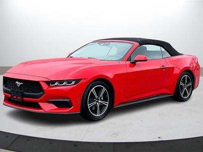 Used 2024 Ford Mustang Premium