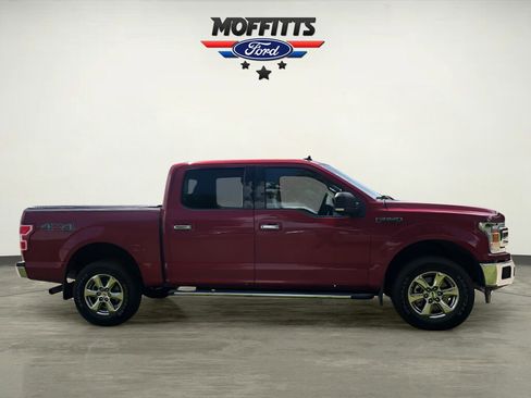Used 2019 Ford F150 XLT w/ Equipment Group 302A Luxury AWD/4WD image 6