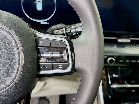 Used 2024 Kia Carnival SX Prestige image 24