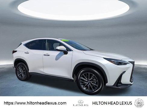 Used 2025 Lexus NX 250 FWD w/ Cold Area Package image 1