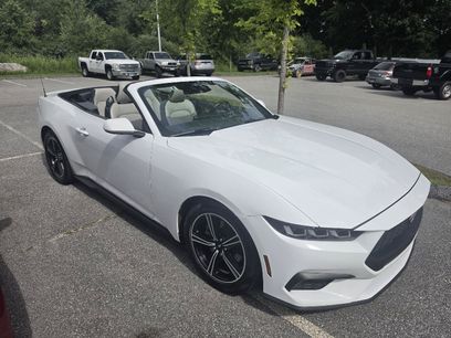 Used 2024 Ford Mustang Premium
