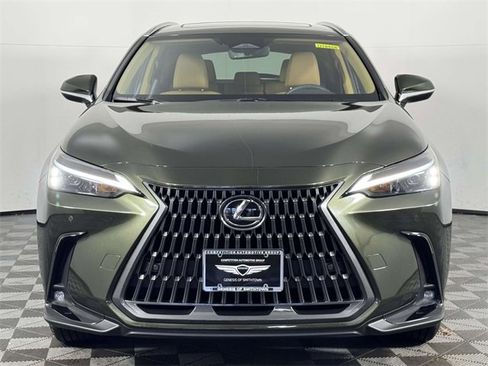 Used 2025 Lexus NX 350 AWD image 6