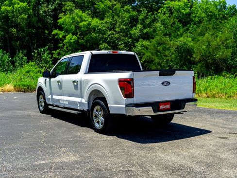 Used 2025 Ford F150 XLT w/ Equipment Group 301A Standard RWD image 9