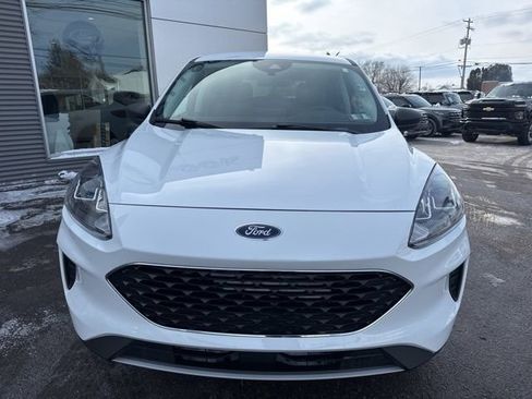 Certified 2022 Ford Escape SE w/ Cold Weather Package image 3