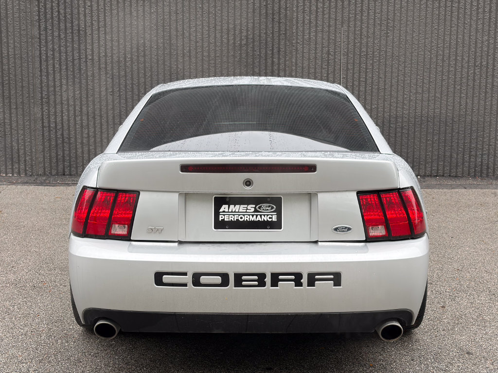 Used 2004 Ford Mustang Cobra RWD image 6