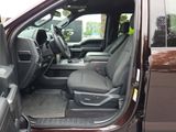 Used 2019 Ford F150 XLT w/ Equipment Group 302A Luxury image 4