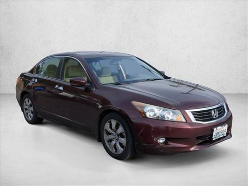 Used 2010 Honda Accord EX-L image 3