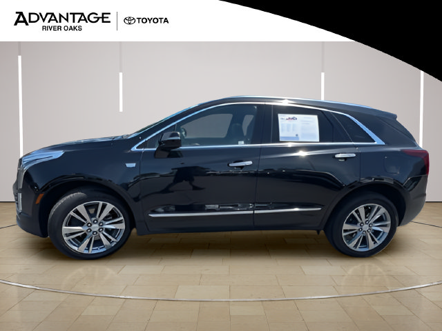Used 2024 Cadillac XT5 Premium Luxury AWD/4WD image 5