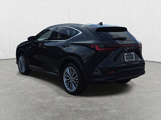 Certified 2025 Lexus NX 350h AWD w/ Cold Area Package image 7