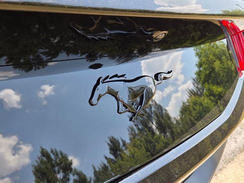Used 2025 Ford Mustang Coupe RWD image 6