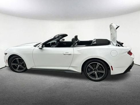 Used 2024 Ford Mustang Premium RWD image 20