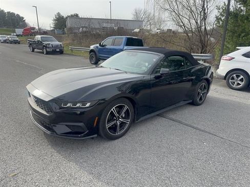 Used 2024 Ford Mustang Premium image 2